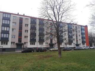 Апартаменты Quiet studio apartment in the city center of Klaipeda Клайпеда Апартаменты с 1 спальней-18